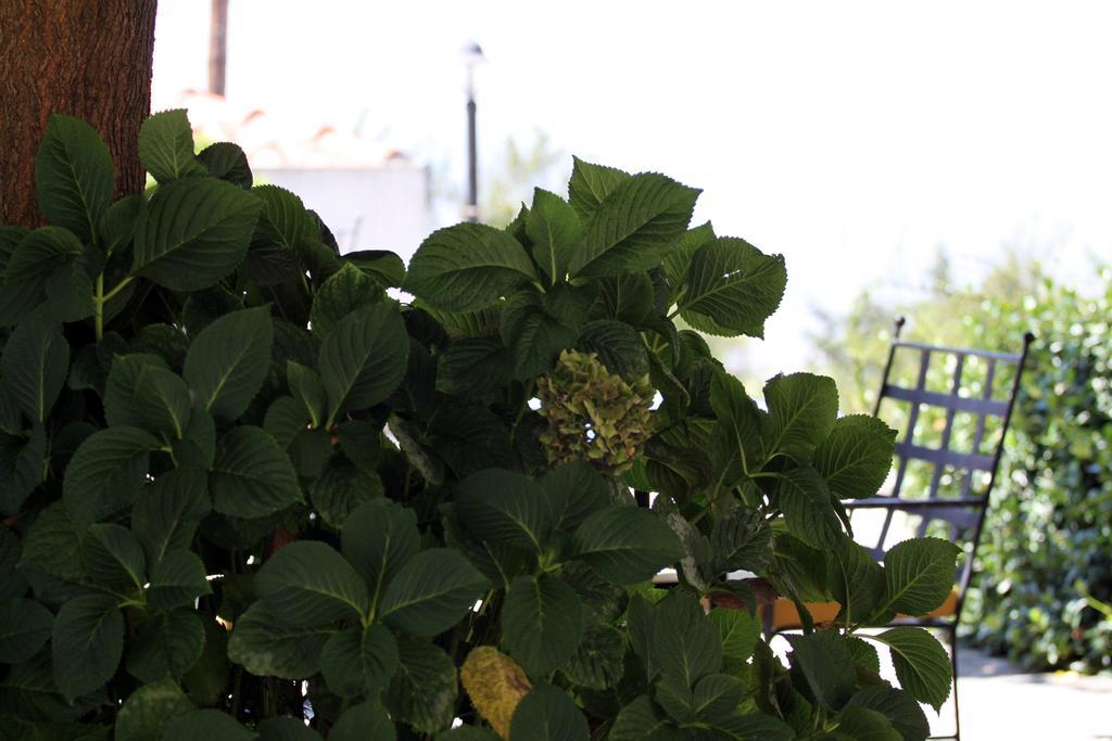 Guesthouse Kolenti Portaria  Exterior photo